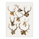 image 1 of Vintage Illustration of Deer Species Lydekker Huge Wall Art Print 18X24 In