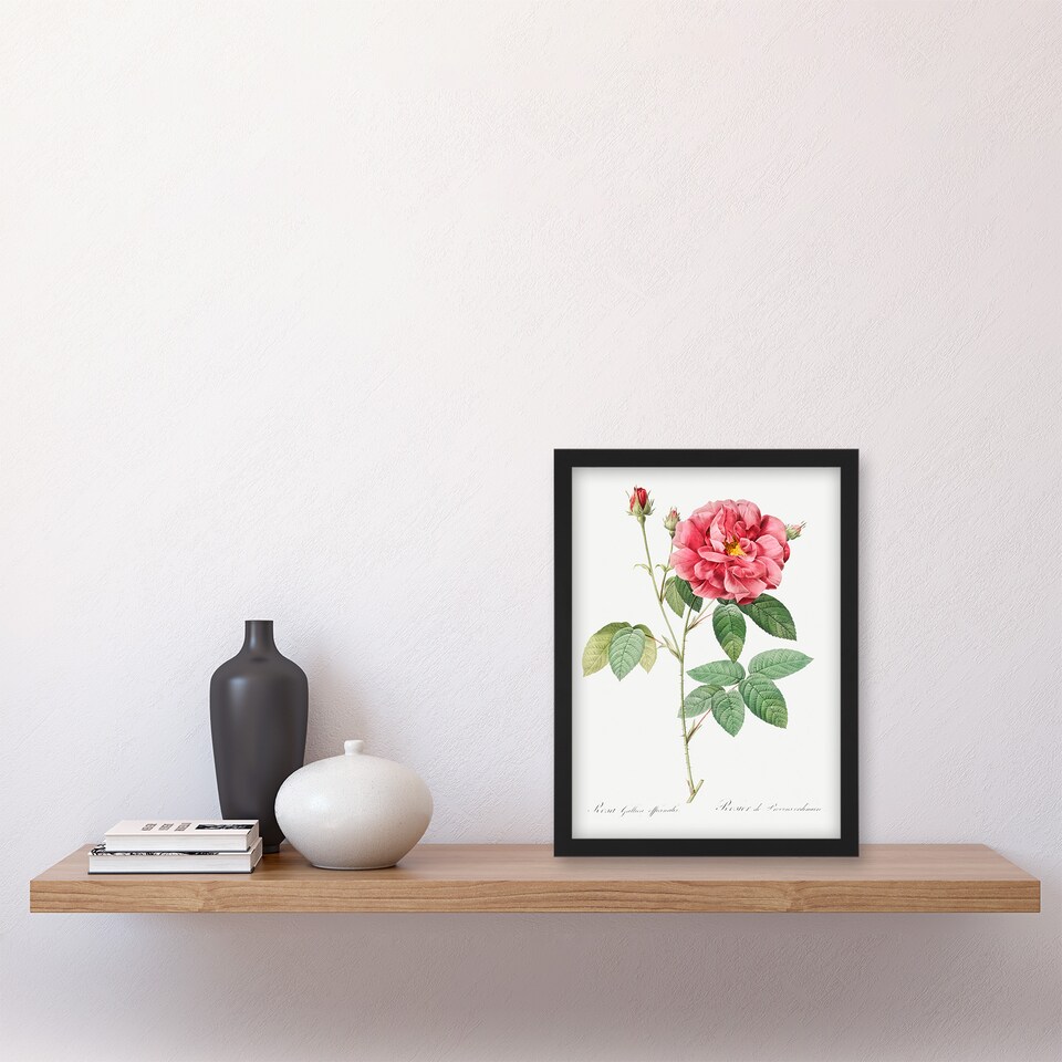 image 1 of Pierre J Redoute Framed Wall Art Vintage French Rose Illustration Home Décor