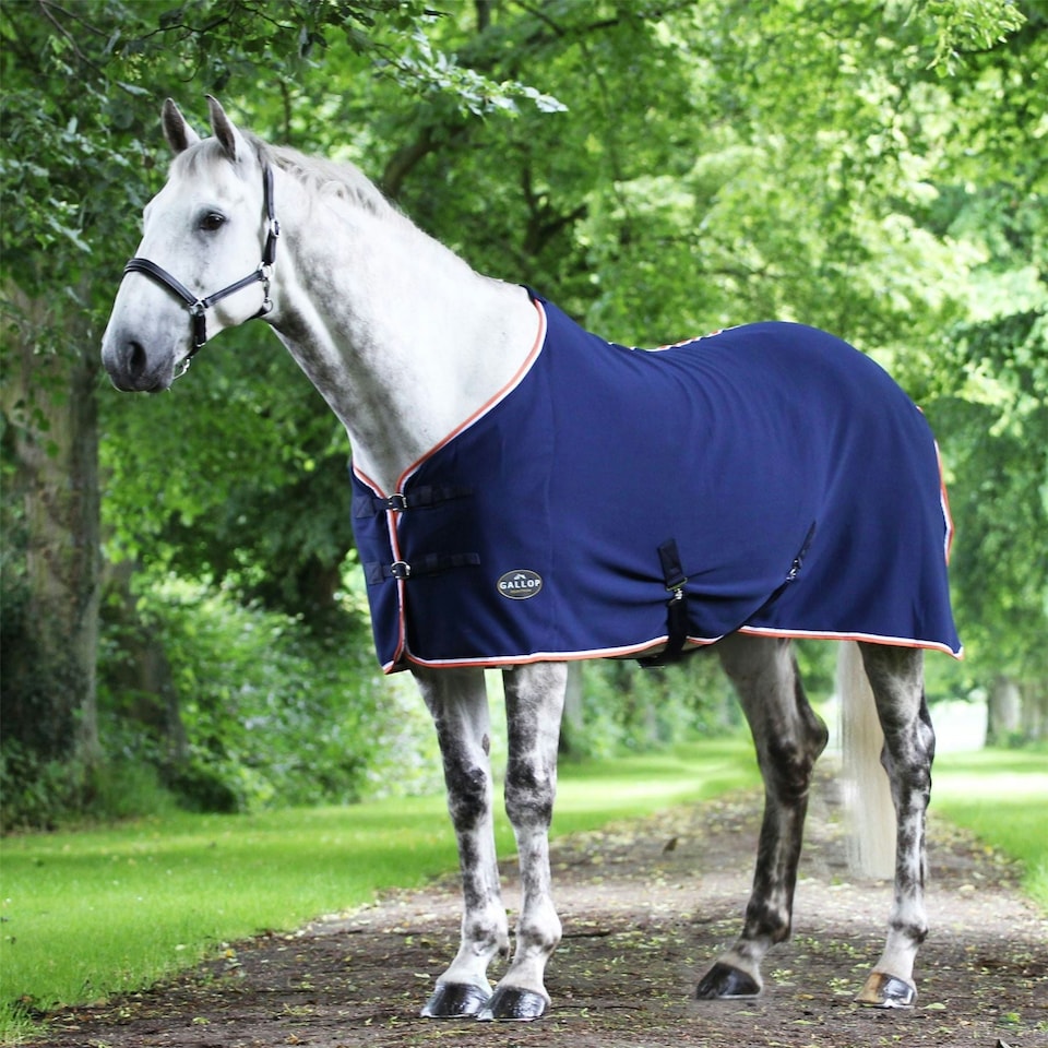 image 1 of Gallop Equestrian Jersey Cooler Rug Red | Size: 5ft 9
Colour: Navy/Sky Blue