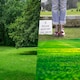 image 4 of Pegdev Smart Lawn Grass Seed High Yield Resilient Versatile Ideal for Gardens 250g