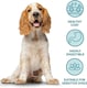 image 3 of Burns Sensitive Duck & Rice Adult & Senior Dry Dog Food - 6 kg