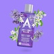 image 1 of Concentrated Disinfectant Lavender Haze