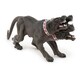 image 4 of PAPO Fantasy World Cerberus Toy Figure