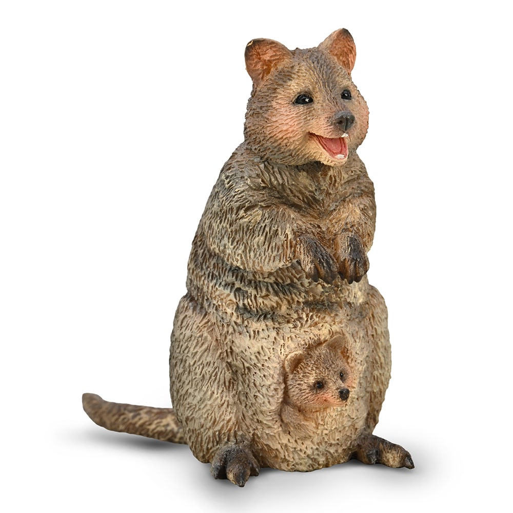 CollectA Quokka with Joey in Brown