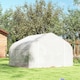 image 9 of Outsunny Walk-In Polytunnel Greenhouse w Roll Up Door Windows, 4.5x3x2 m White