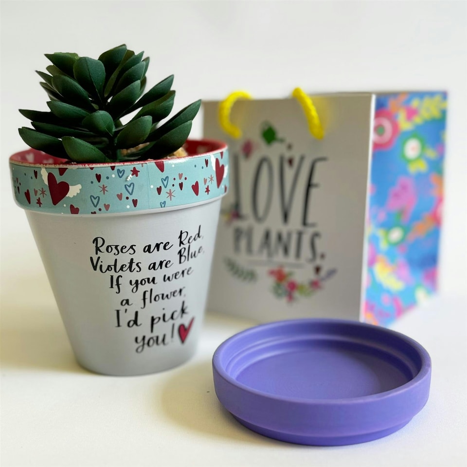 Love Plants Pot Ceramic Growing Garden Roses Are Red | Multi