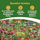 image 5 of Pronto Seed Wildflower Rainbow Garden Seed Shaker - 25m2 Garden Flower Seeds | Multi | Rainbow Garden 25m2 | 1