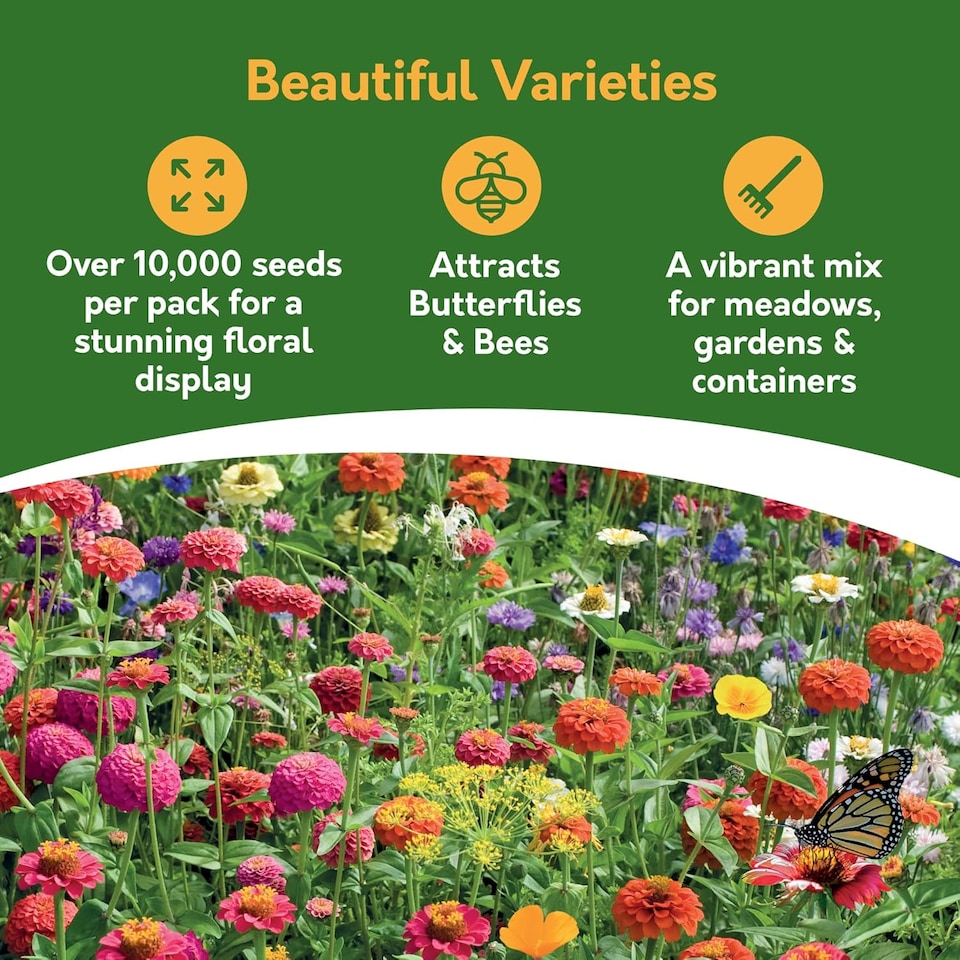 image 1 of Pronto Seed Wildflower Rainbow Garden Seed Shaker - 25m2 Garden Flower Seeds | Multi | Rainbow Garden 25m2 | 1