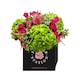 image 1 of Lush Elegance Bouquet