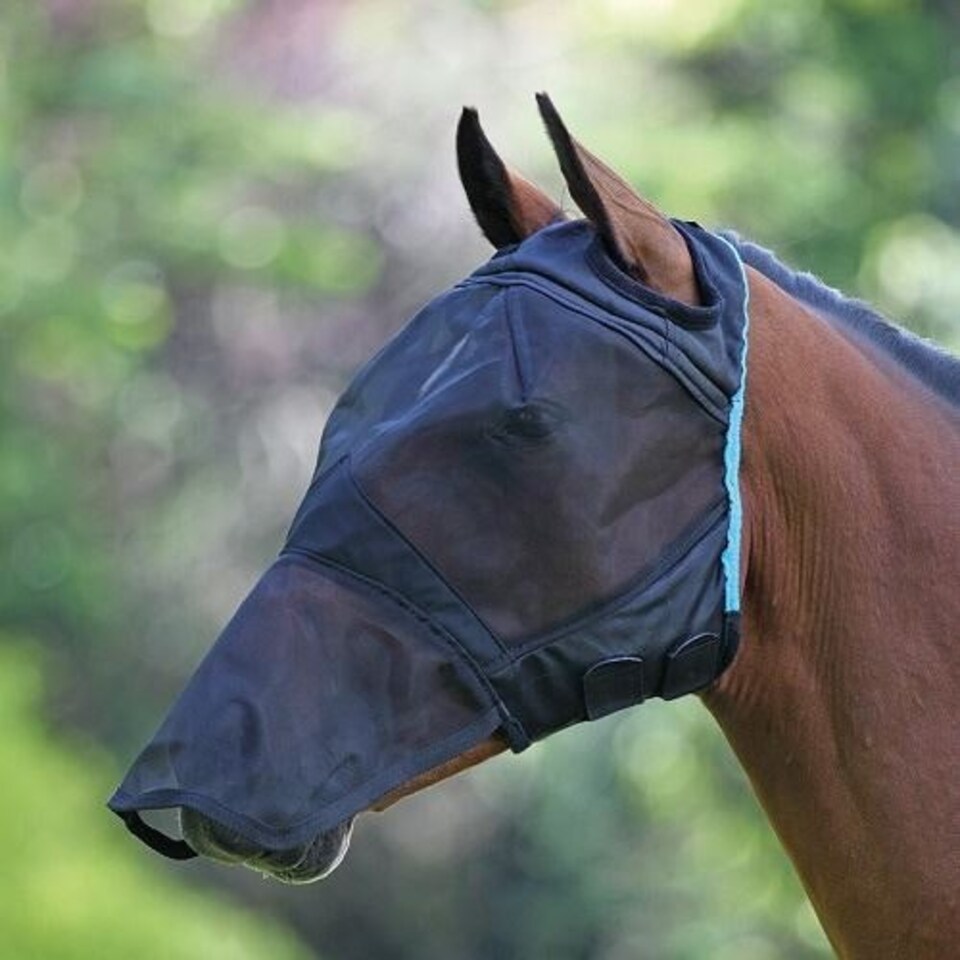 image 1 of Shires Fine Mesh Fly Mask With Ear Hole & Nose Blue | Size: Full
Colour: Teal