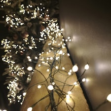 1.8m Warm White LEDs Green Garland Wire Light Christmas Decoration with Timer