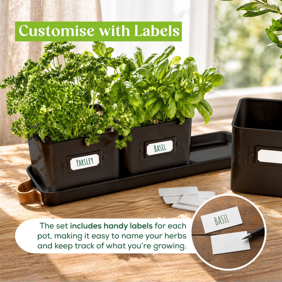 image 1 of Set of 6 Black Indoor Herb Pots with Tray