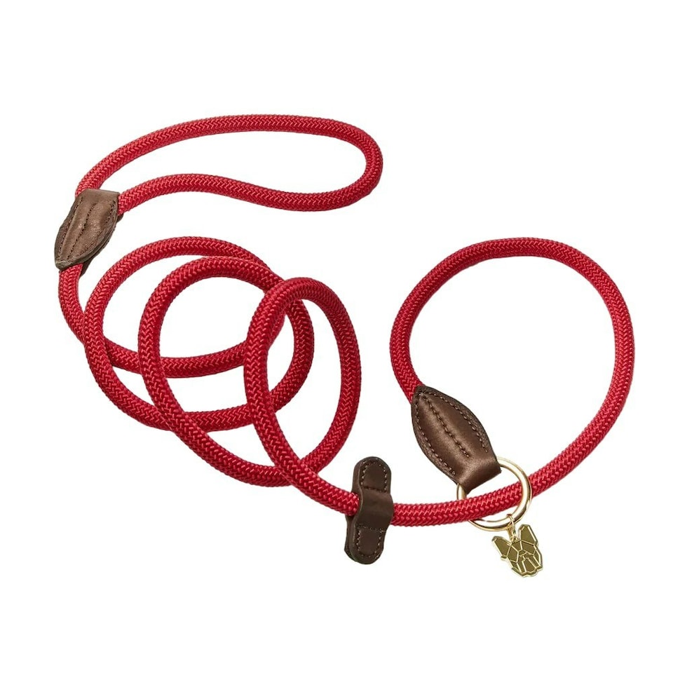 Digby & Fox Leather Dog Slip Lead - Red - One Size