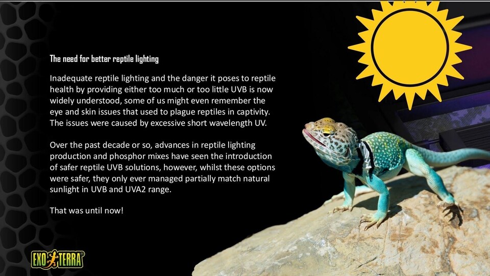 image 1 of Exo Terra Reptile UVB Bulbs N/A | Exo Terra Reptile UVB200 T5 VHO - 24W 22"