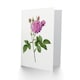 image 2 of Pierre-Joseph Redouté Art Card Agatha Rose Vintage Floral