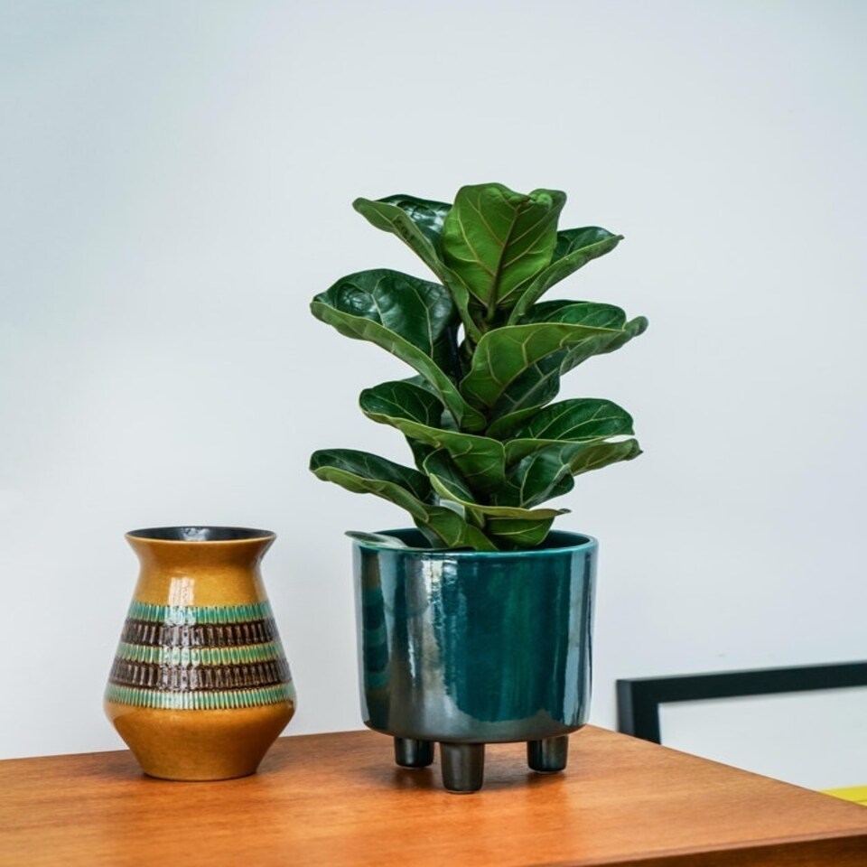 image 1 of Pisa Planter - Ceramic - L20 x W20 x H24 cm - Emerald Green