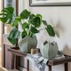 image 2 of Kew Flower Planter Pistachio Green Green
