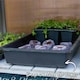 image 9 of Grow It Wooden Growhouse Dove Grey | Grey | Dove Grey | 1 x Growhouse | 1