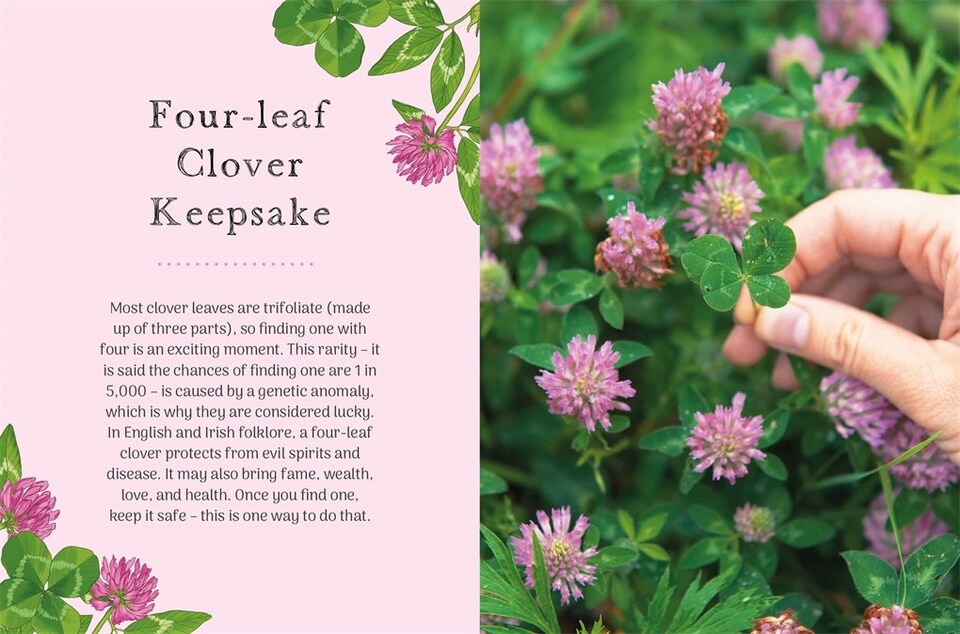 image 1 of The Little Wild Library: Clover