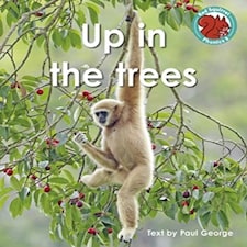 Up In The Trees