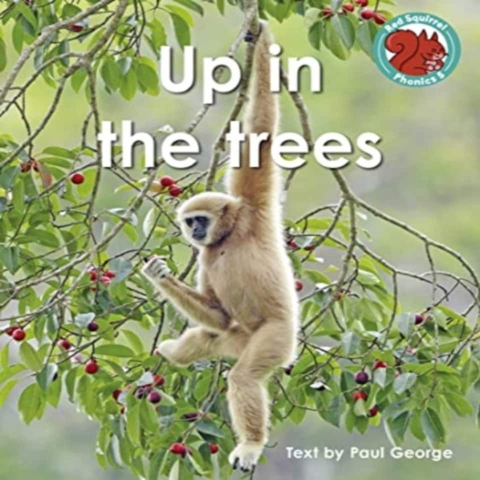Up In The Trees