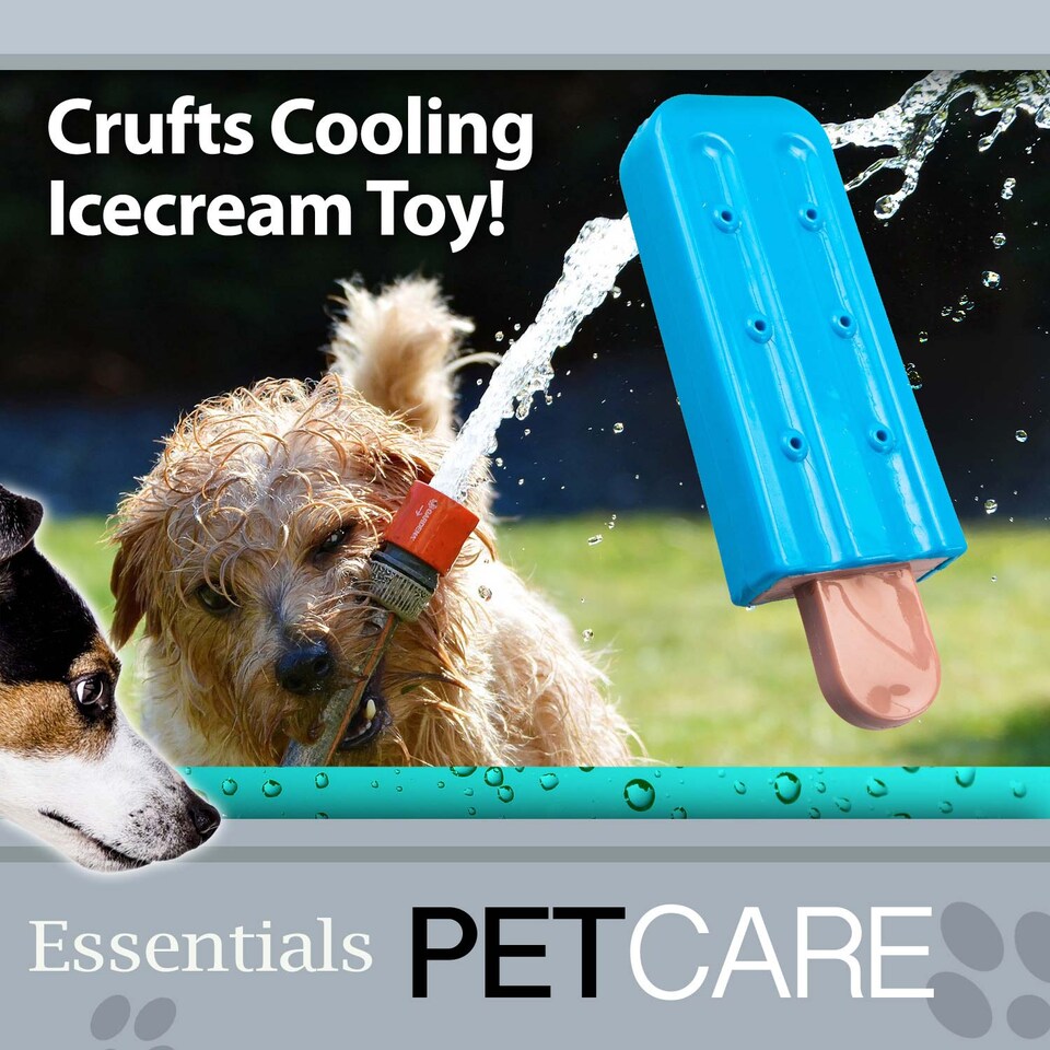 image 1 of Crufts Cooling Dog Toy - Freezable, Chew-Resistant Summer Toy