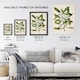 image 3 of New Zealand Tawari Plant Flowers Featon Wall Art Poster Print 12X16"