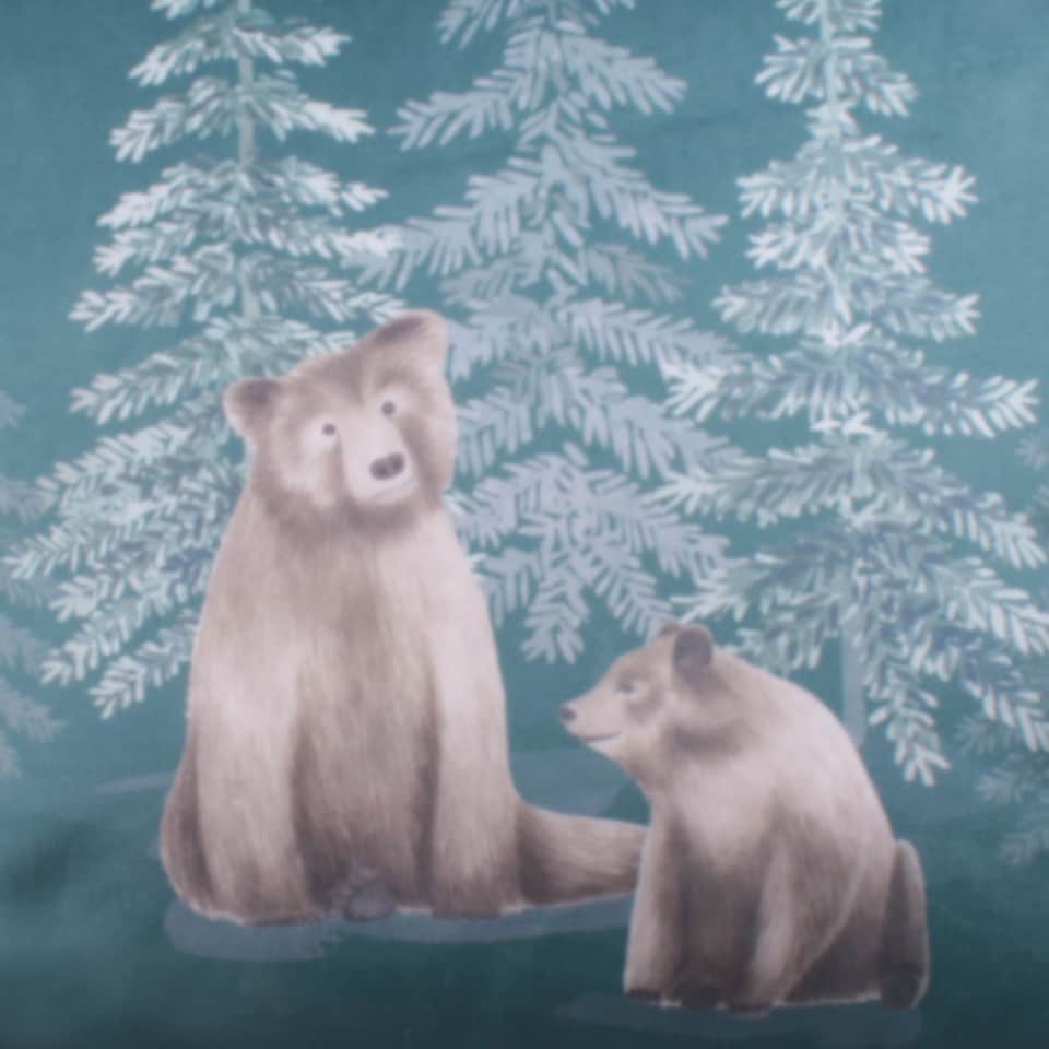 image 1 of D & D Bear Walks Filled Cushion Teal