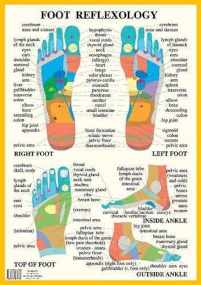 Foot Reflexology -- A2 Poster Book