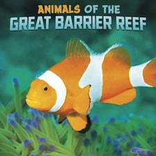 Animals Of The Great Barrier Reef
