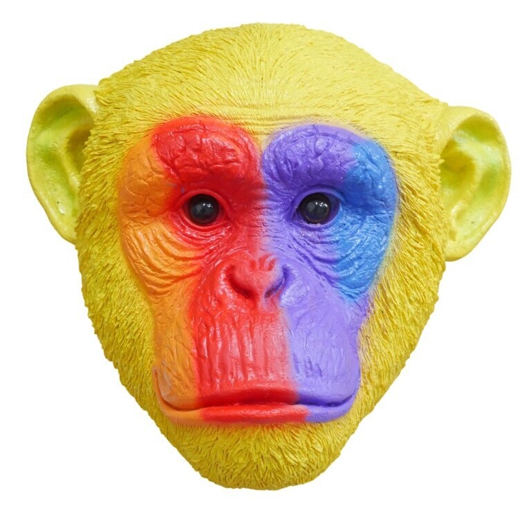 Gifts Direct 2 U Rainbow Monkey Head Wall Ornament Multi