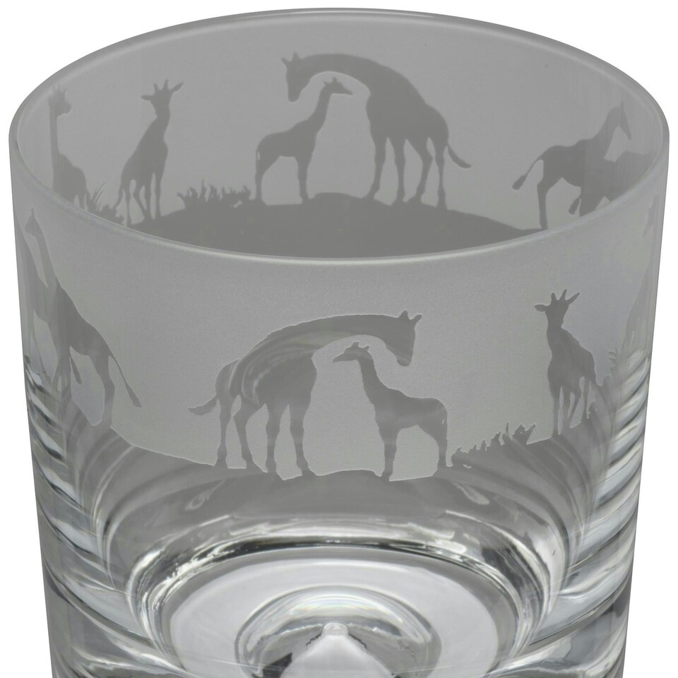 Animo Glass Whisky Tumbler Etched Glass Giraffe
