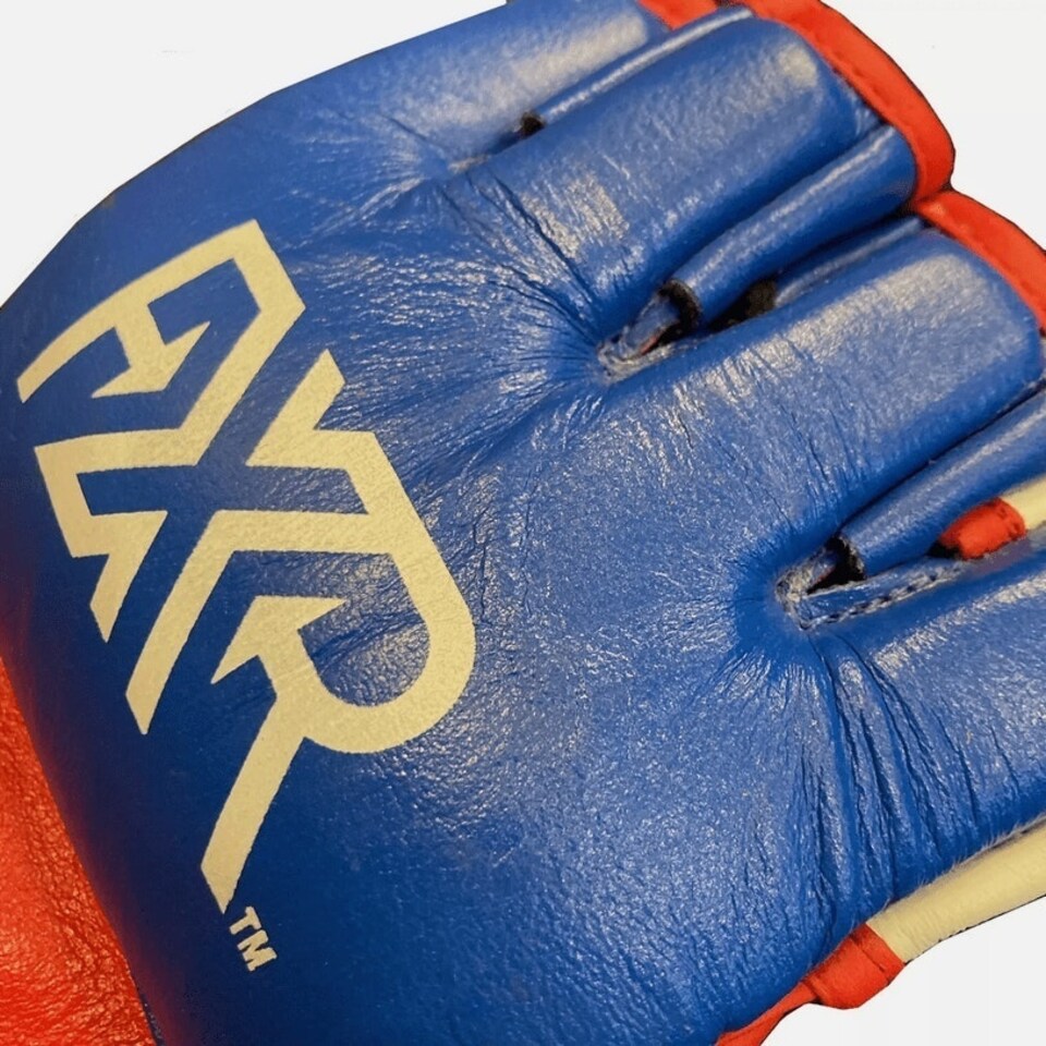 image 1 of FXR Sports Leather Muay Thai Fight Gloves Blue | Small