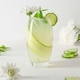 image 5 of LAV Empire Highball Glasses - 510ml - Clear - Pack of 6 Clear