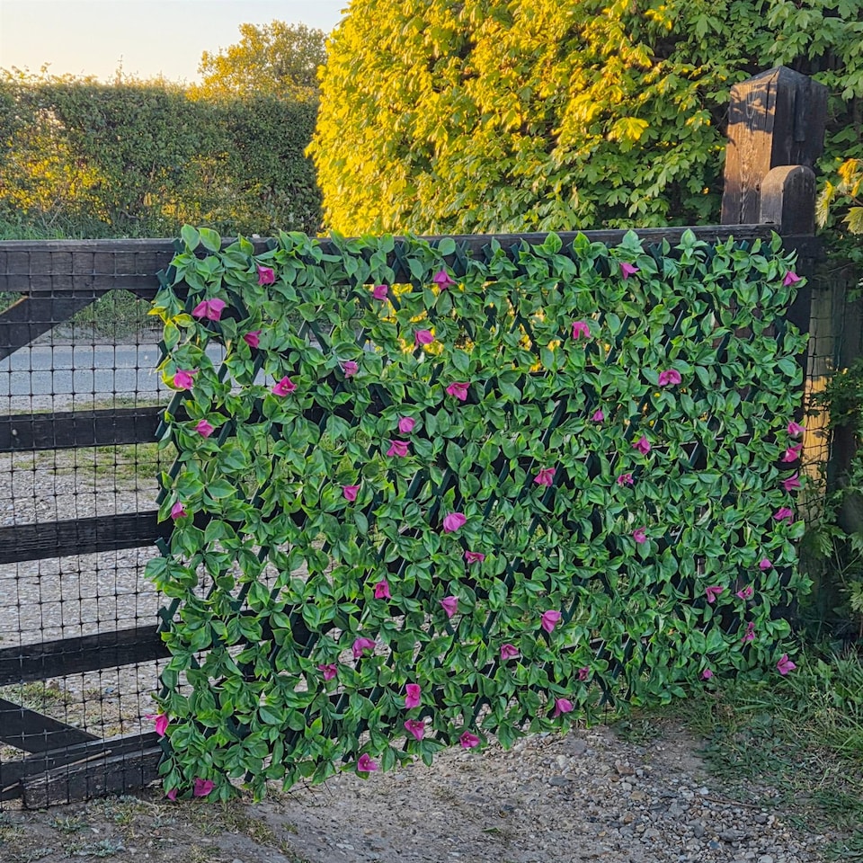 image 1 of True Products Premium Expanding Trellis Fence - Artificial Pink Bougainvillea Garden Wall Screening