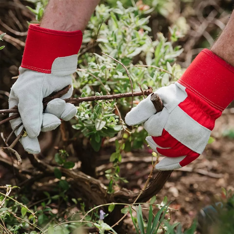 image 1 of Kent & Stowe Rigger Gloves Red - Heavy Duty Thorn Resistant for Tough Jobs