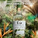 image 4 of Edinburgh 1670 Gin