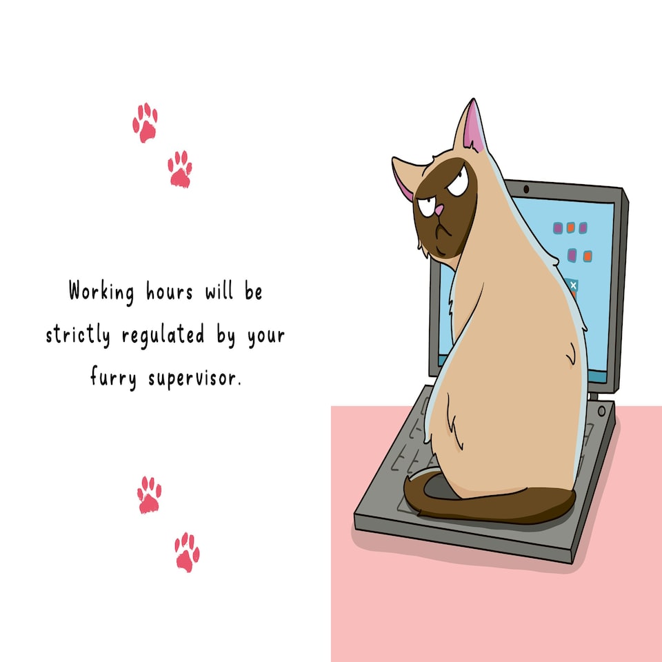 image 1 of The Little Instruction Book for Cat Parents