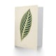 image 2 of Benjamin Fawcett Art Card Vintage Botanical Tiger Plant Leaf