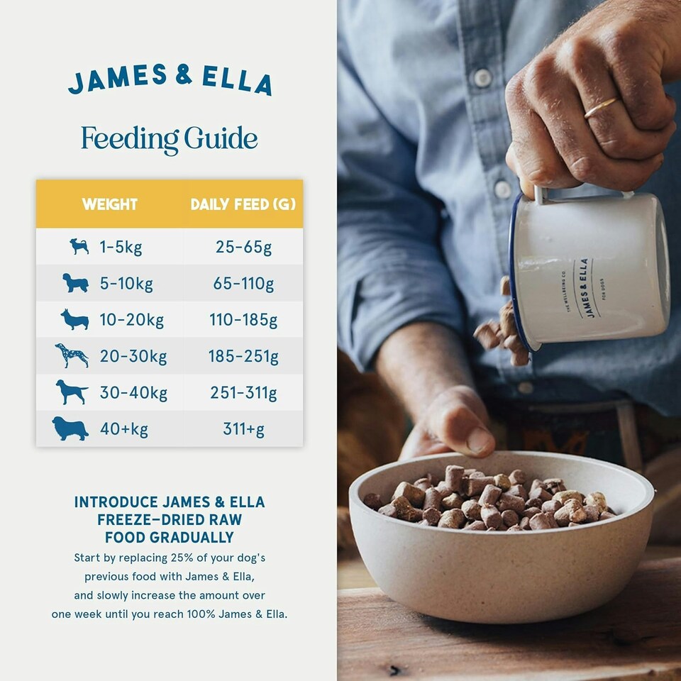 image 1 of Freeze-Dried Raw Dog Food - Free-Run Chicken 100g