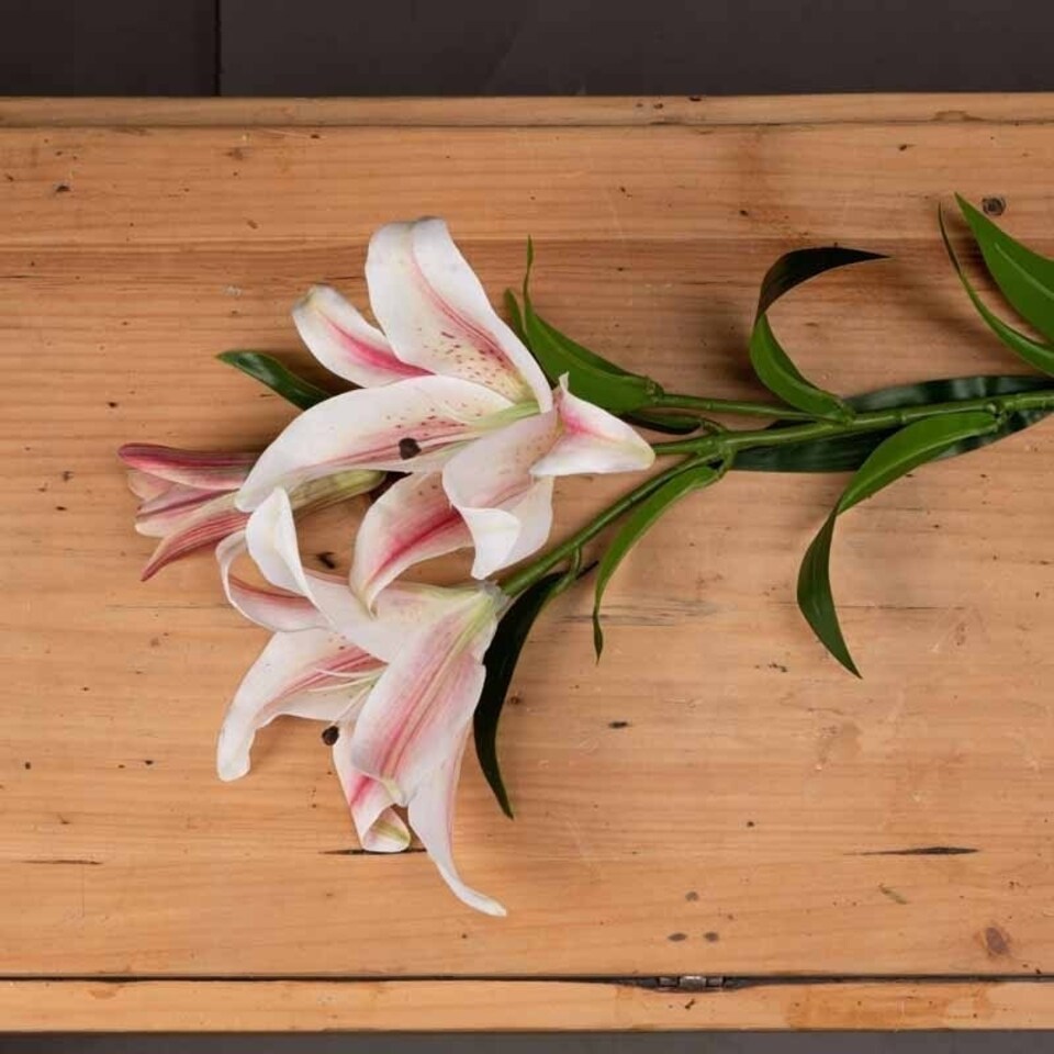 image 1 of Stargazer Lily Artificial Flower - L23 x W23 x H90 cm - Pink/White