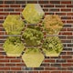 image 4 of Primrose Set of 4 Small Hexagonal Gold Garden Mirrors 11in
