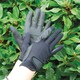 image 1 of Rhinegold Super Stretch Mesh Back Horse Riding Gloves Black | Size: Small
Colour: Black