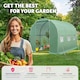image 4 of Greenhouse - polytunnel with 6 windows, 343 x 200 x 200 cm