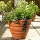 image 2 of Pot Buddies Garden Pot Décor Bronze Boa Contrictor 