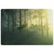 image 1 of Forest in the morning in a fog in the sun, trees in a haze of light, glowing fog among the trees (Rug) Green | XL