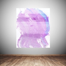 Pink Pony Ride (Canvas Print) 36" x 24"