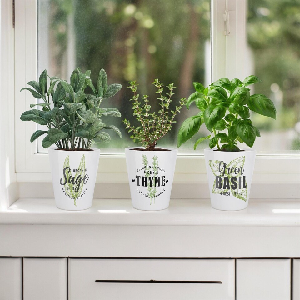 image 1 of Fresh Green Herbs Small Ceramic Chives Plant Pot