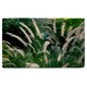 image 1 of decorative cat tail grass growing along a walkway Designer Bath Towel | Multi