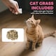 image 6 of PawHut Cat Scratching Board, 2-in-1 Cardboard Cat House and Hideaway Furniture with Door, 4 Paw-Shaped Vents and Grass for Indoor, Pink